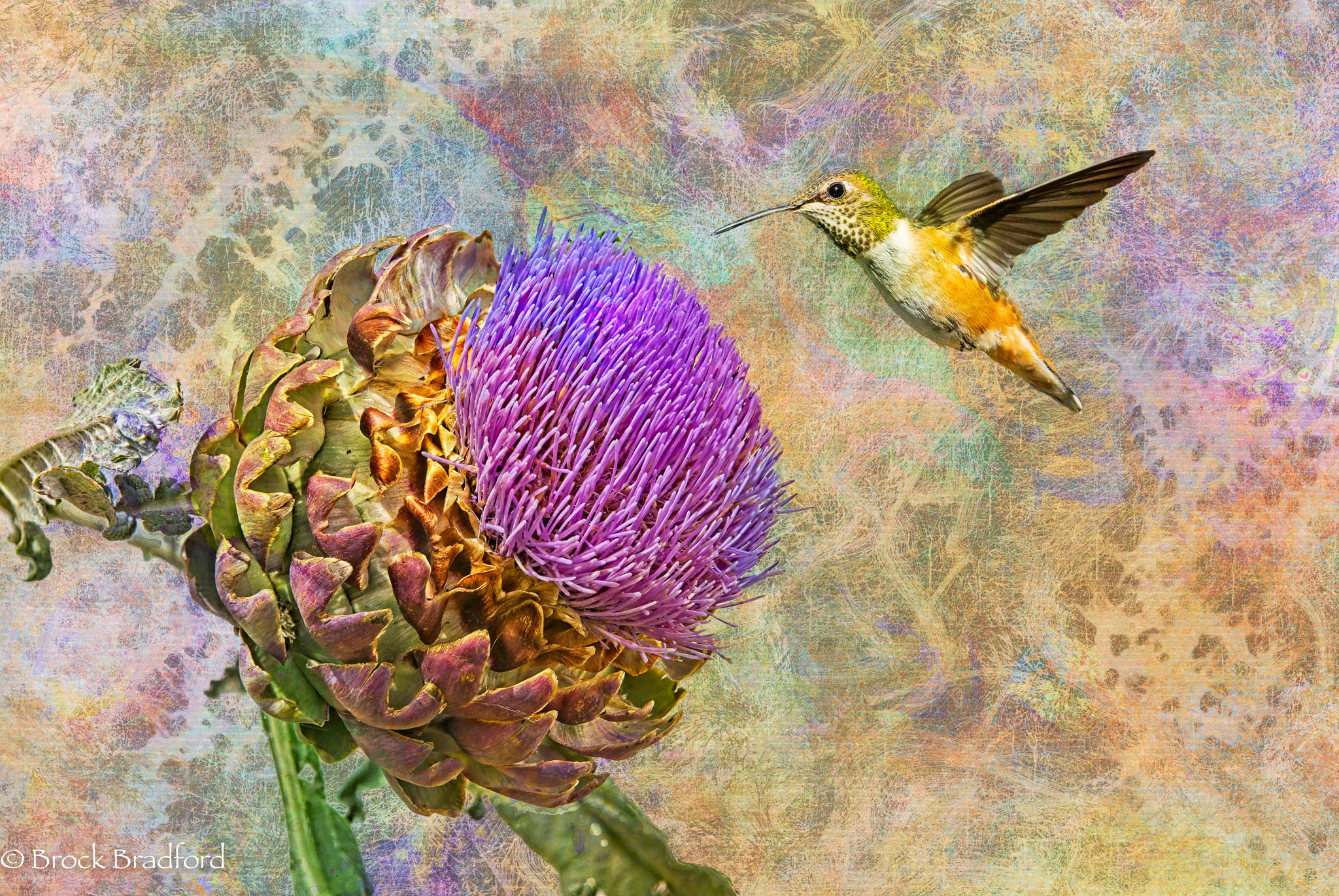 Artichoke-hummer.jpg