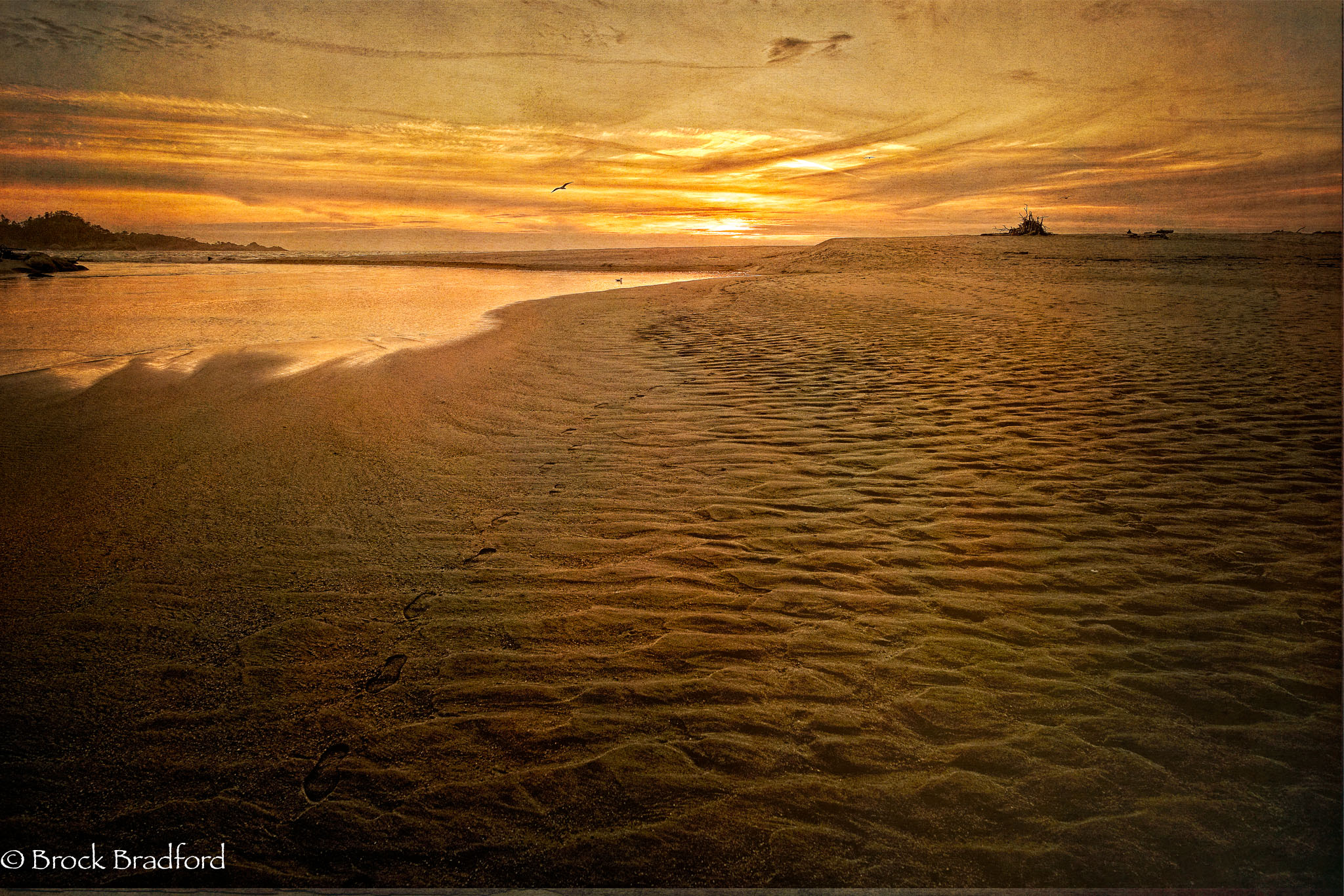 Beach-of-Bold-Light-3.jpg