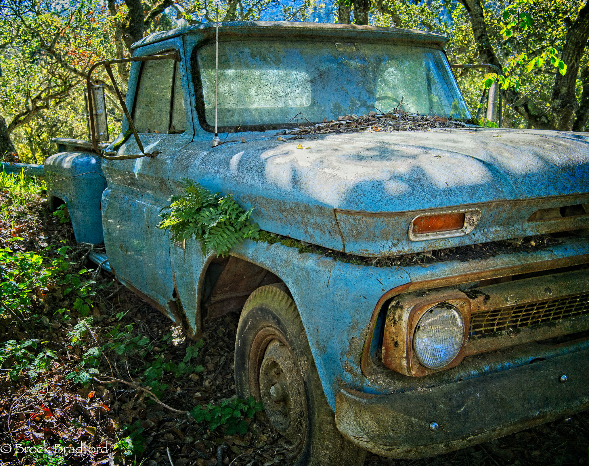 Norm-Blue-Truck.jpg