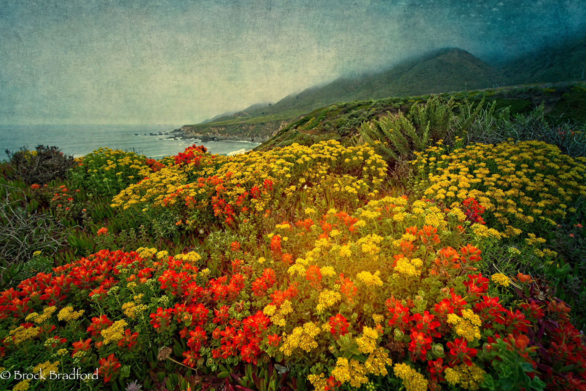 Paint-bush-1.jpg