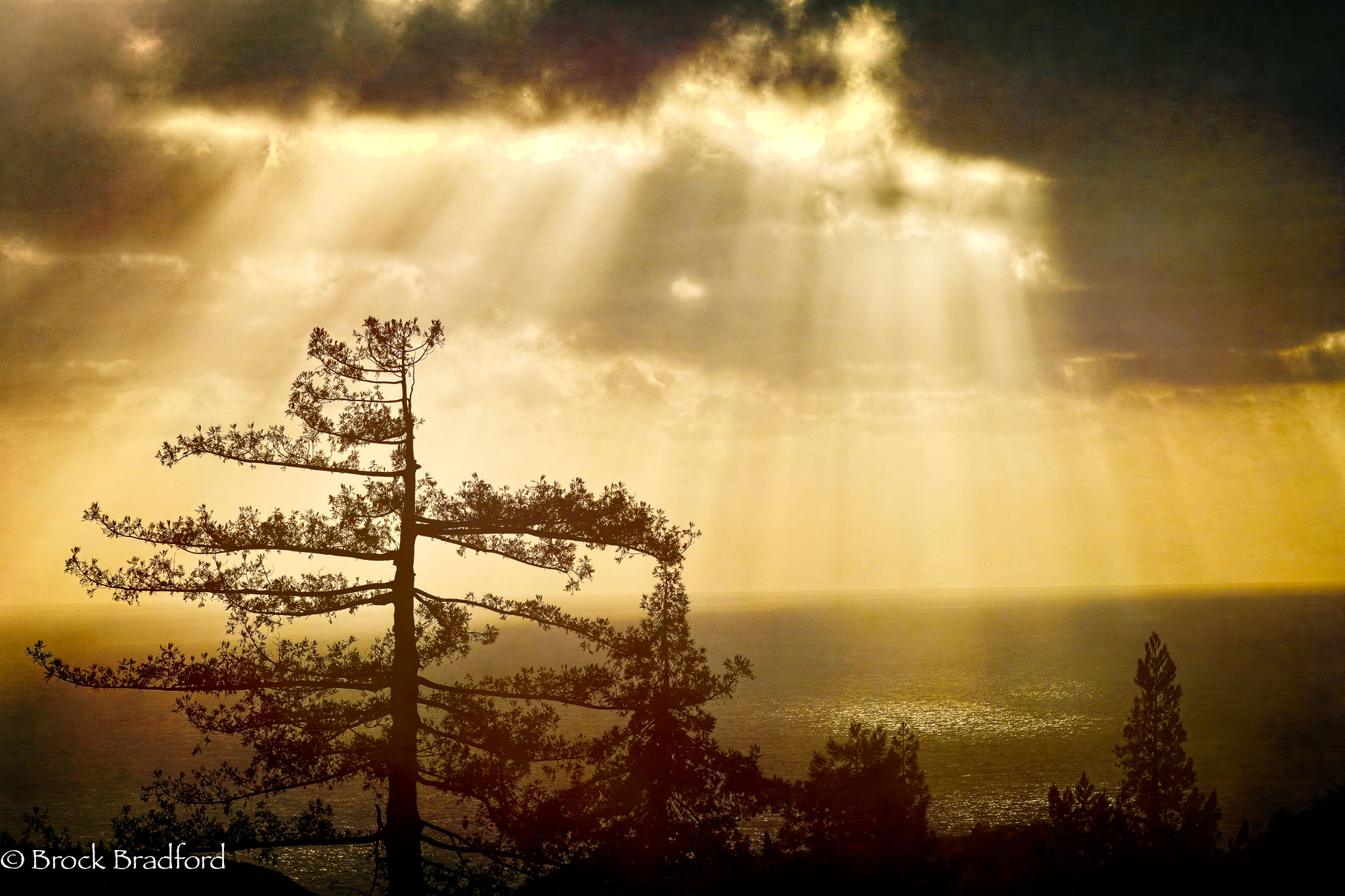 RAYS-FROM-THE-DECK.jpg