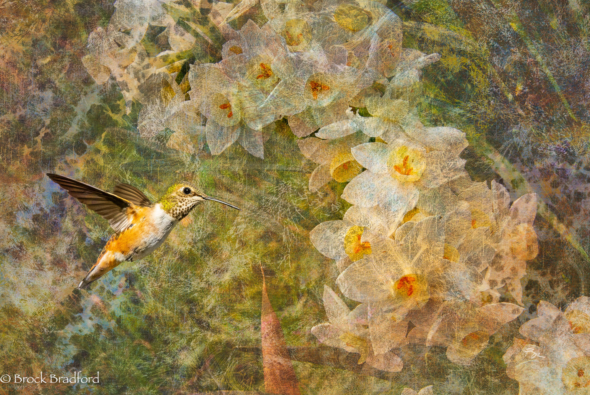 paper-White-hummer.jpg