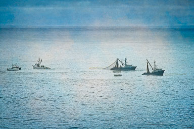 Rocky-Point-Boats.jpg