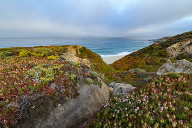 Big Sur  Path of Life