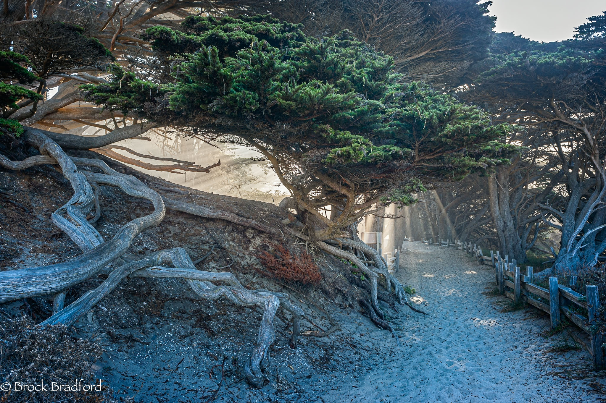 Pfeiffer-Beach-entrance-11.jpg