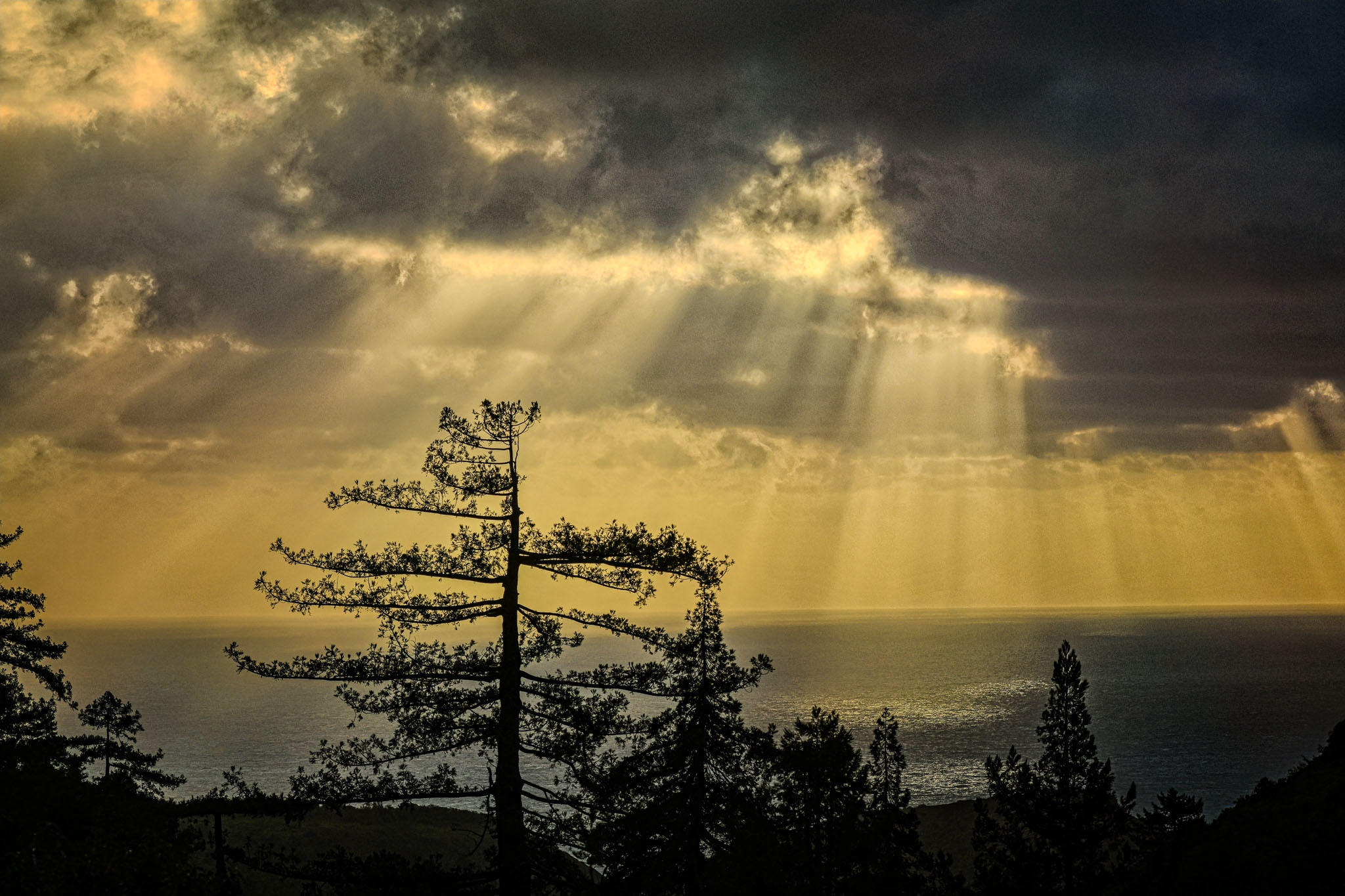 Let-Light-Be.jpg
