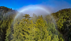 Big Sur Fog Bow