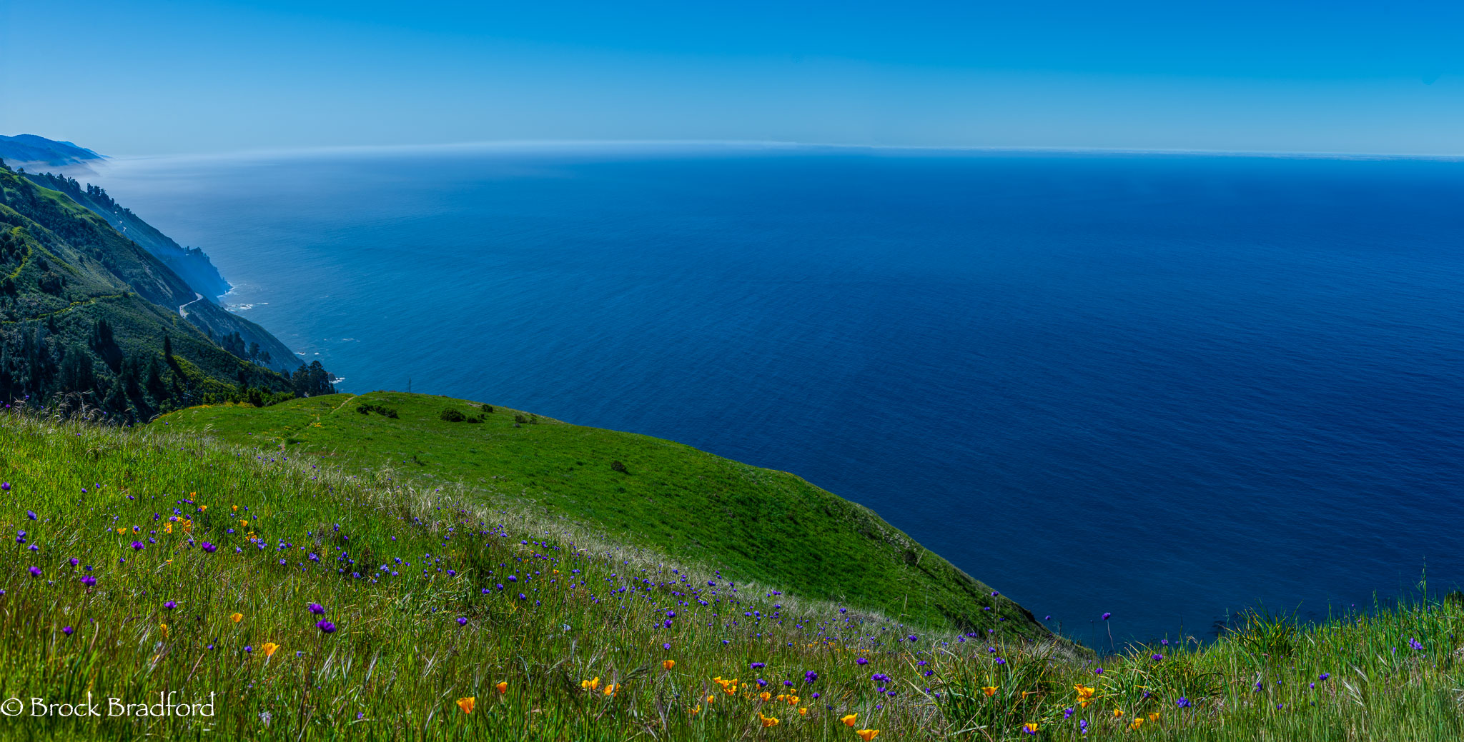 DSC_1349-Pano-Edit.jpg