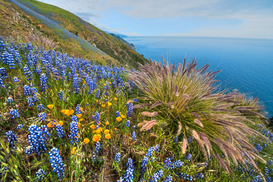 L-374 L-374-Edit-Edit.jpg