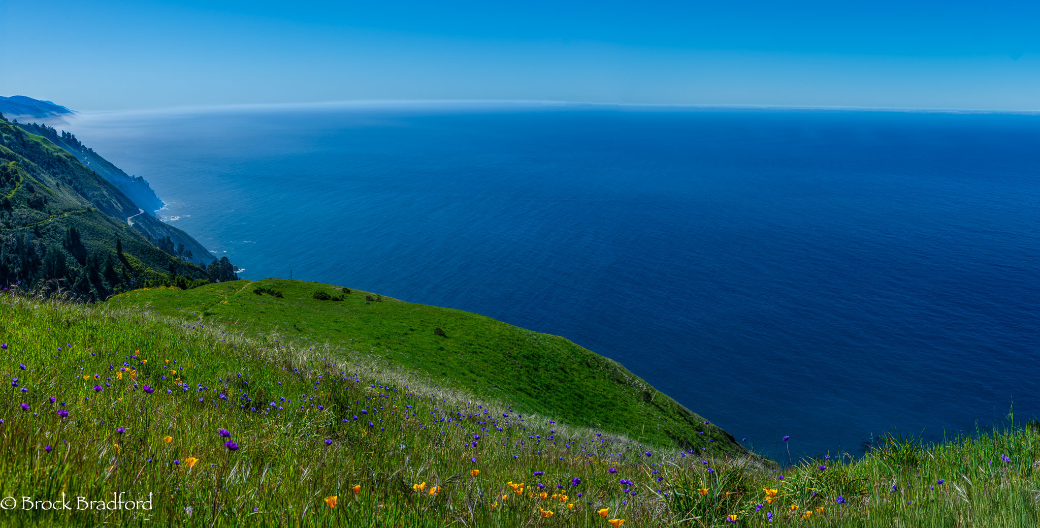 DSC_1349-Pano-Edit.jpg