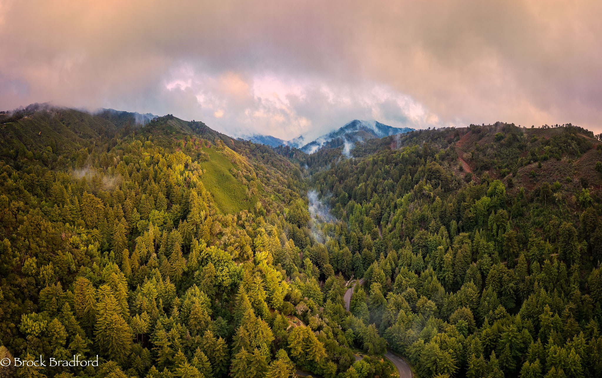 Redwood-last-light.jpg