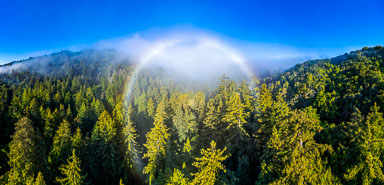 Big Sur Panorama