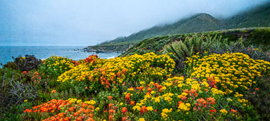 Big Sur Panorama