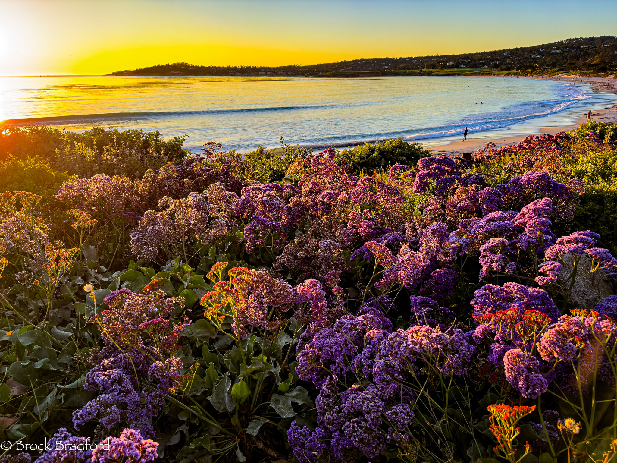 Carmel-by-the-Sea-2-.jpg