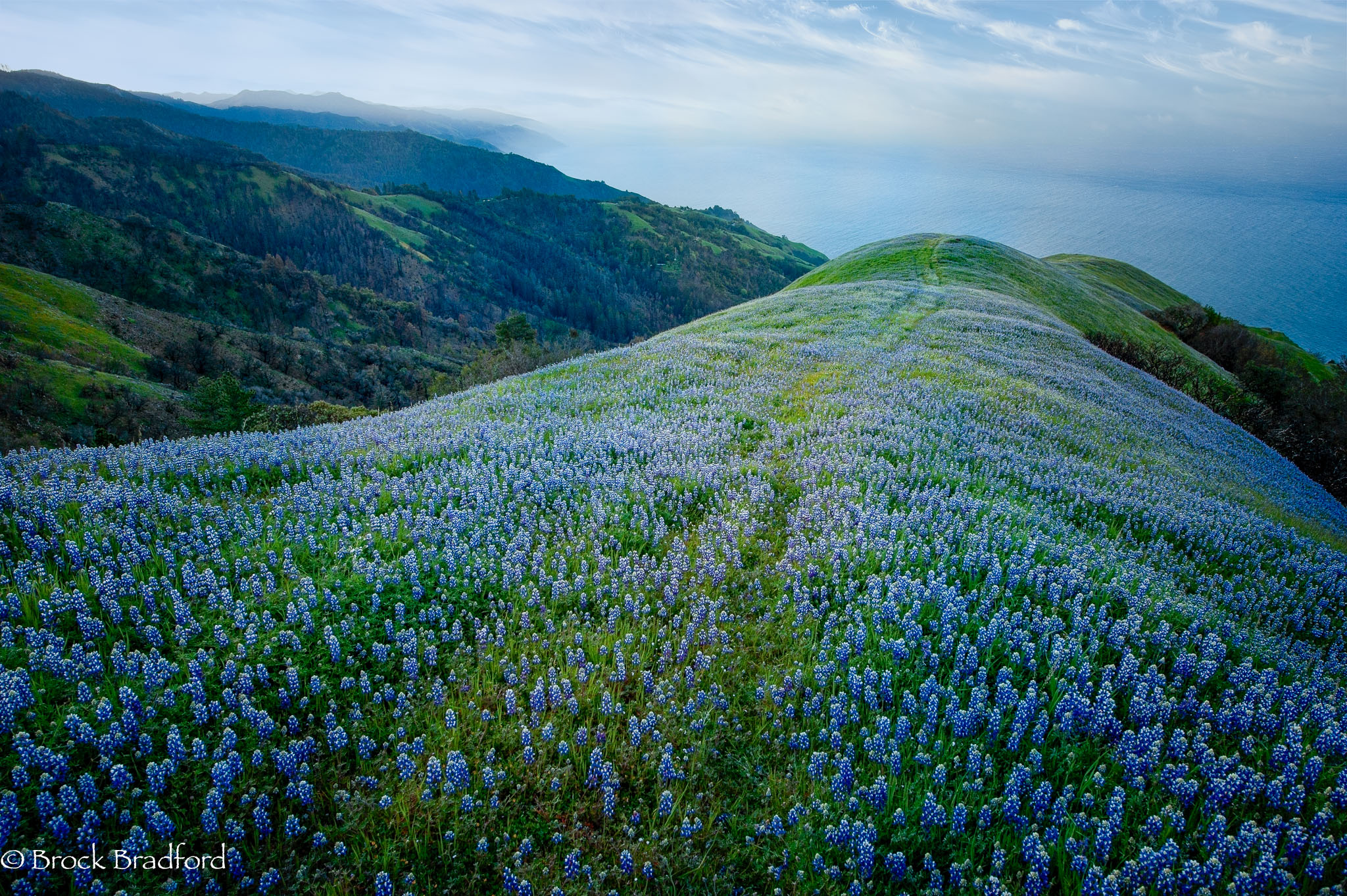 Happy-Spring-Equinox-25.jpg
