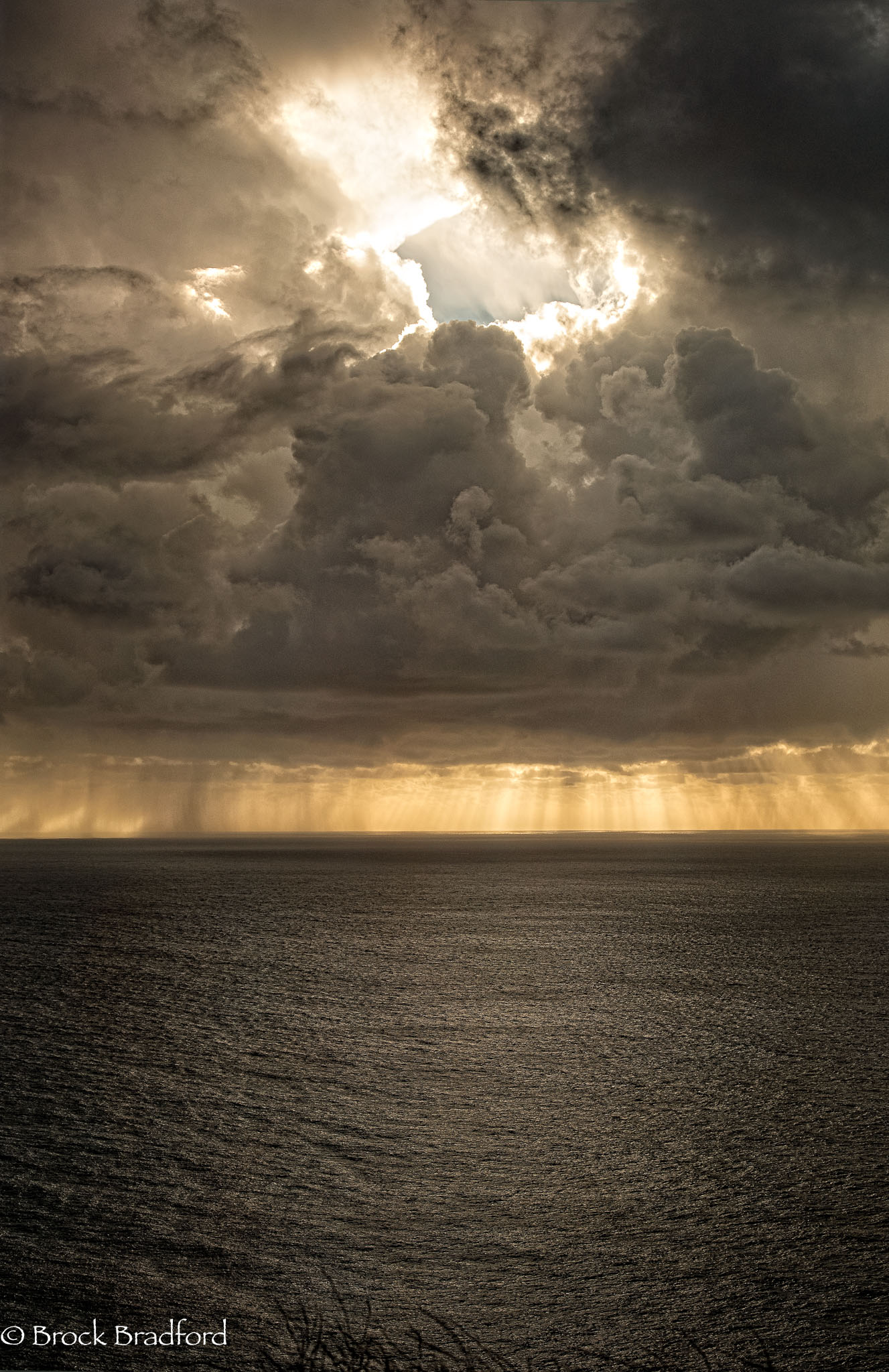 Storm-Light-Vertical.jpg